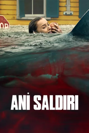Ani Saldırı